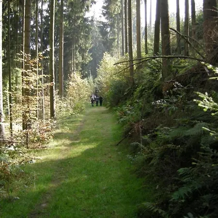In In The Southern Eifel * Waxweiler
